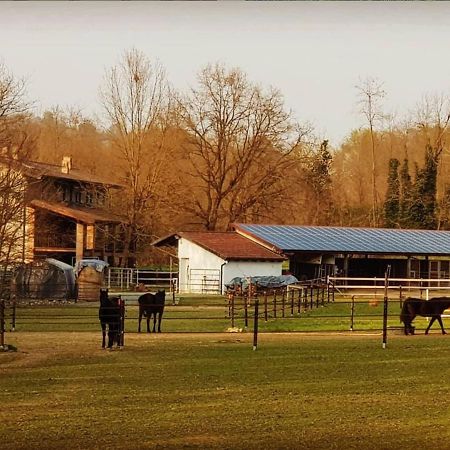 Cameloth B&B Settimo Rottaro Εξωτερικό φωτογραφία